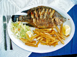 Red-bellied tilapia from Wikicommons