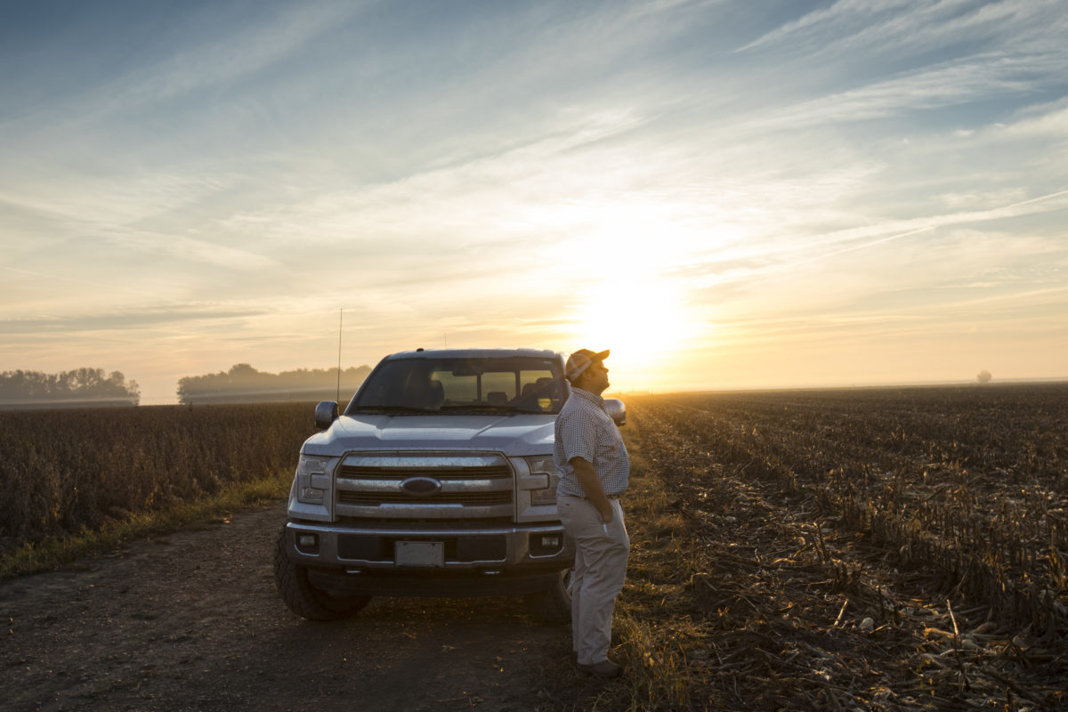 A farmer stands in front of his truck looking out at a corn field.
