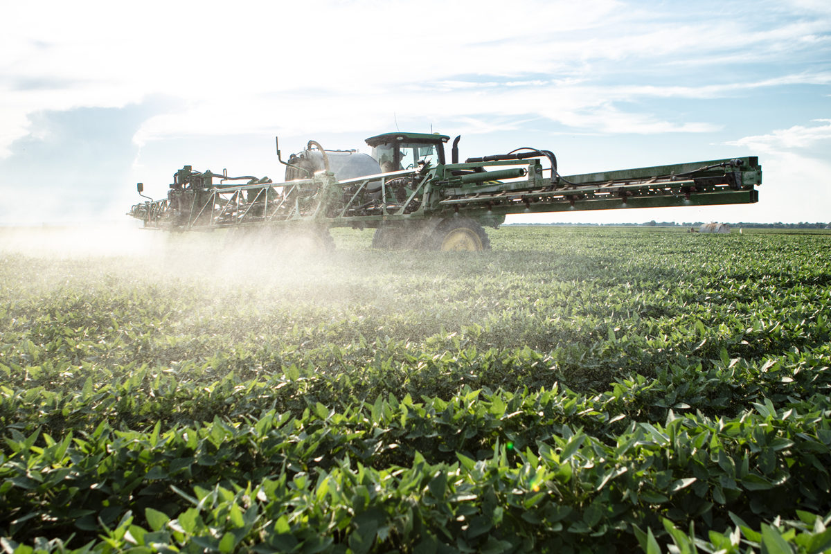 A green crop sprayer sprays pesticides on rows of soy plants.