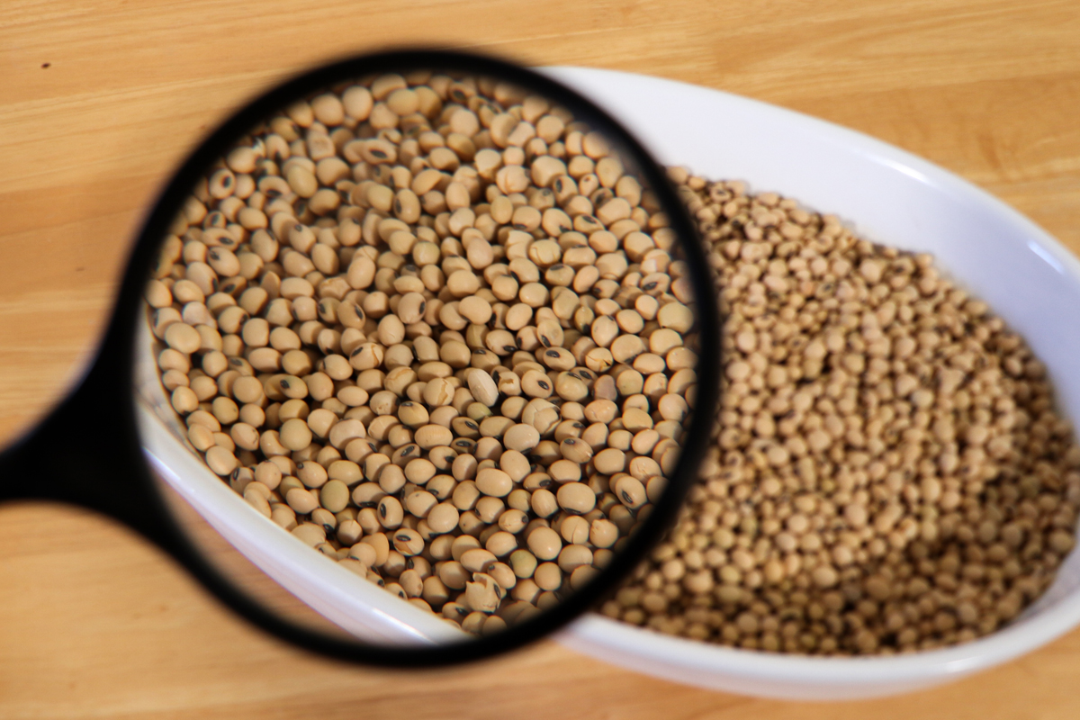 How to Cook Soybeans