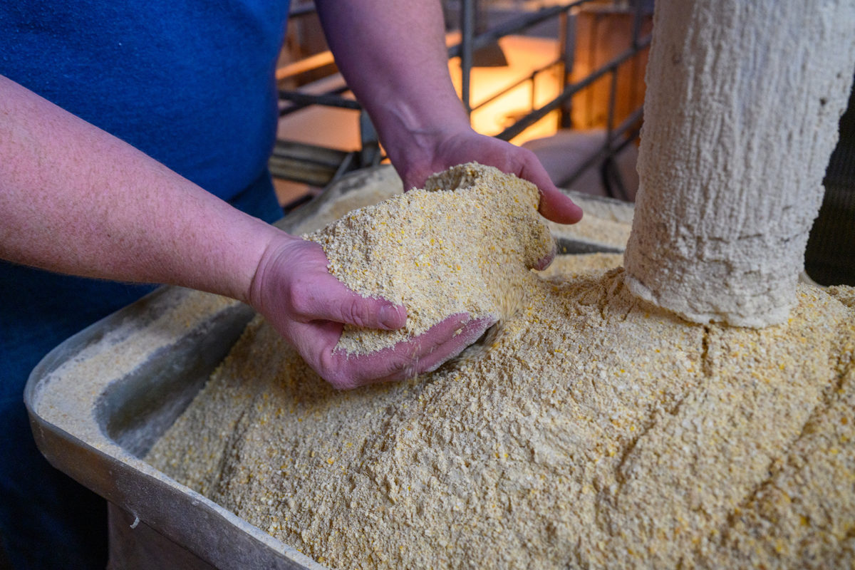A farmer holds a handful of soybean meal.