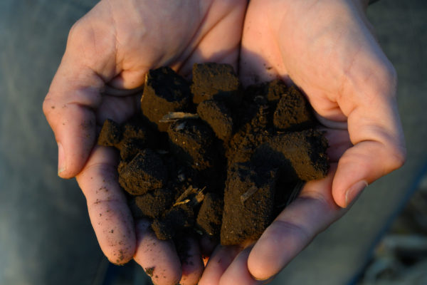 A farmer holds a handful of soil.