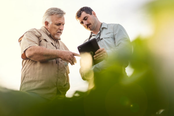 Two farmers stand in a soybean field and point to a black iPad.