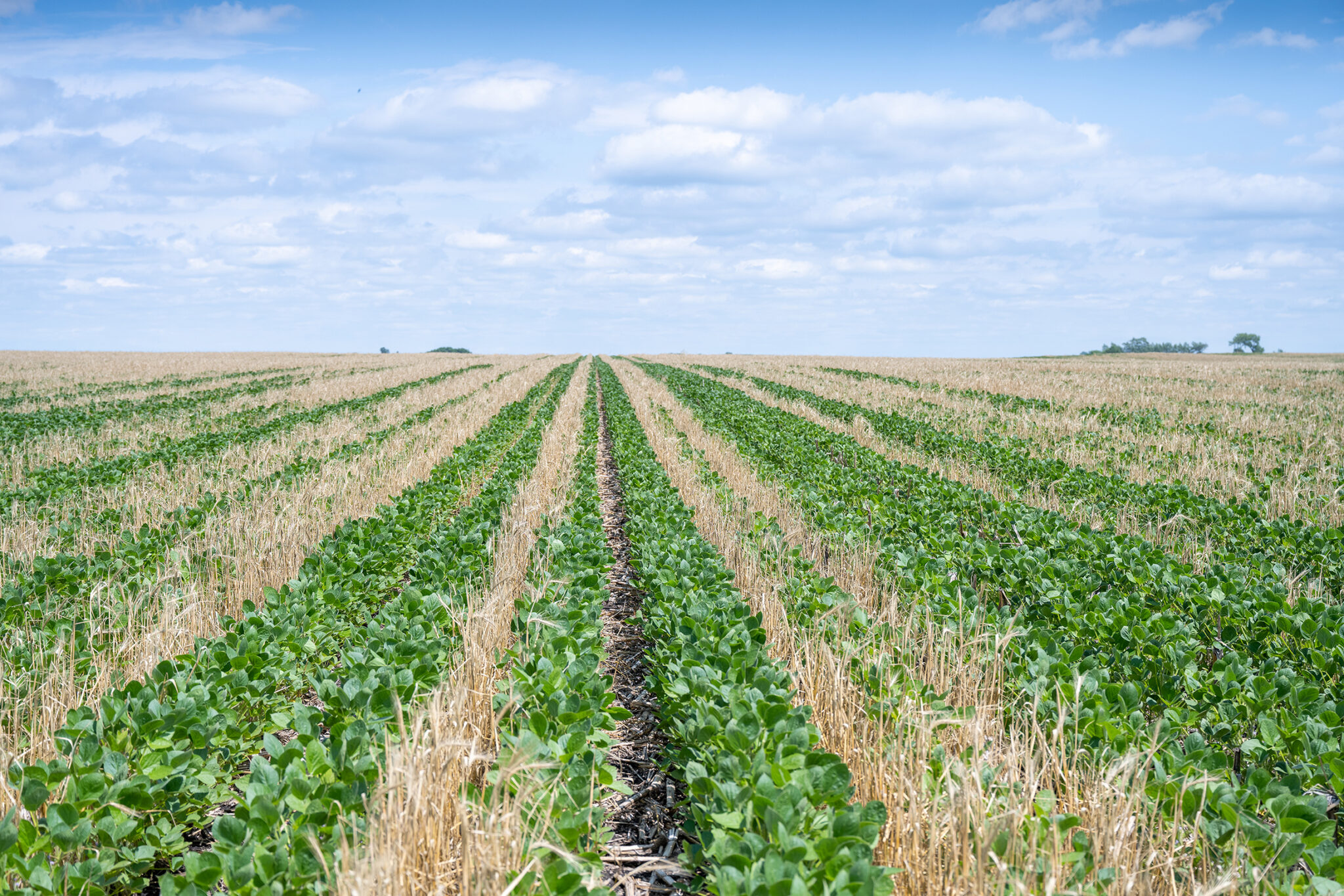 Enroll Now Farmers for Soil Health Offers Financial Assistance for